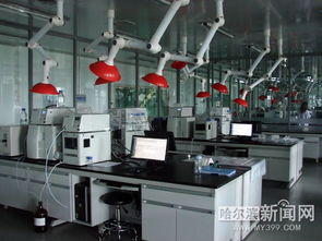 冰城乳品 乳此新鮮系列報(bào)道之三｜將新鮮進(jìn)行到底 冰城乳企牛在拼鮮投資管理